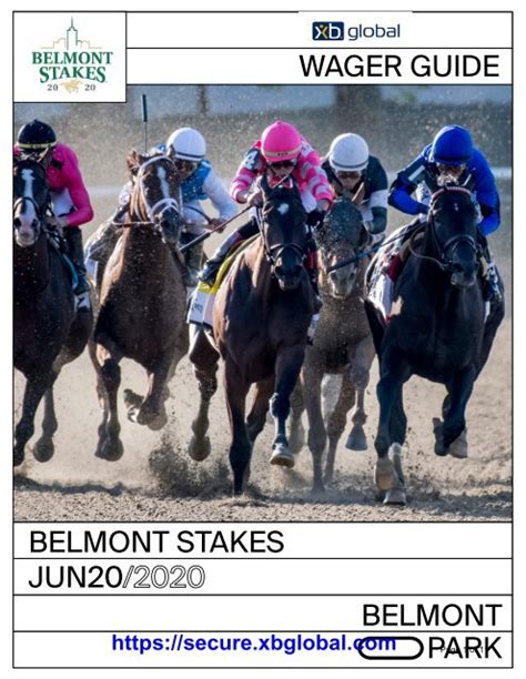 Belmont Stakes Wager Guide .